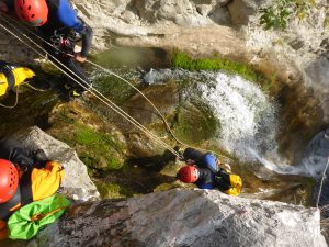 Guide training