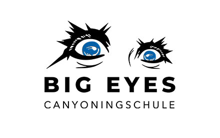 bigeyes_logo_var1_inv-188px